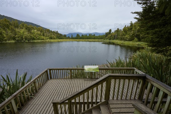 Wooden platform overlooking tranquil lake, surrounded by green vegetation, summer, Lake Matheson, Fox Glacier, South Island, New Zealand