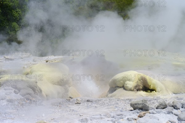 Yellowish sulphur deposit on volcanic rock formations with rising steam, Te Puia, Whakarewarewa, Rotorua, North Island, New Zealand