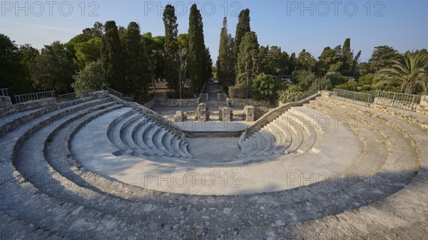Ancient amphitheatre with rows of stone seats and large trees in the background, Ancient Theatre, Odeon, Kos Town, Kos, Dodecanese, Greek Islands, Greece