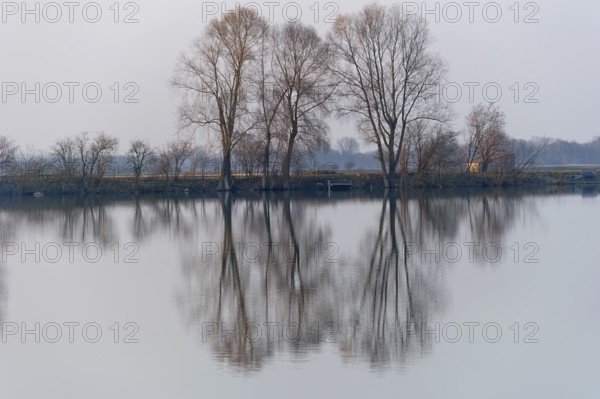 Evening mood at Moosinninger Weiher, quarry pond, fishing pond for carp, reflection of the trees on the shore, smooth calm water, Moosinning in Erdinger moss, Erding, Upper Bavaria, Bavaria, Germany