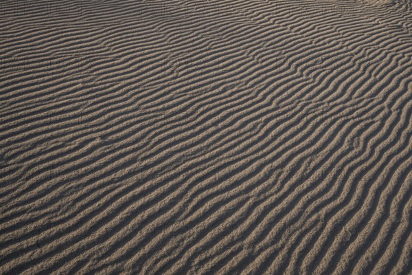 Wave-like wind-formed sand structures in close-up, Hvide Sande, North Sea, Denmark