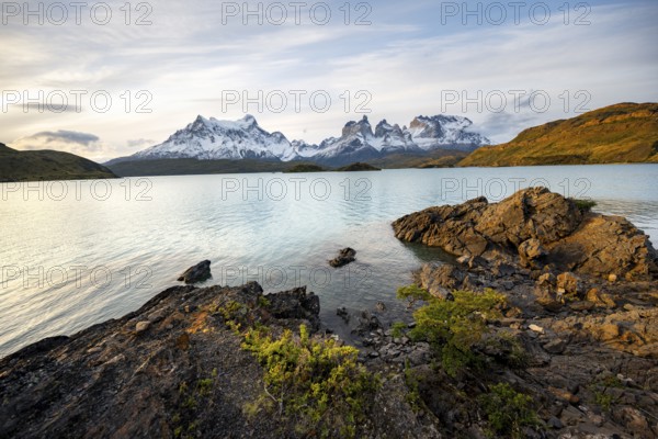 Shore of the blue lake Lago Pehoe in the evening light, Cuernos del Paine mountain range, Torres del Paine National Park, Chile