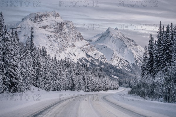 Winter road trip on the Icefields Parkway with lots of snow and ice, Banff National Park, Jasper National Park, Alberta, Canada