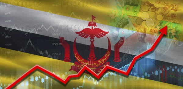 Brunei financial growth on market graph. Brunei economic growth on financial graph