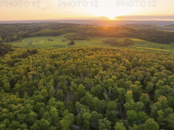 Expansive view of a forest and open fields in the sunset light, forest pasture project, compensatory measure for the Hermann Hesse railway, Gechingen, Calw district, Germany