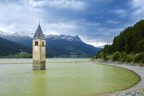 Bell tower of the former parish church of St Catherine in the sunken village of Alt-Graun in Lake Reschen in Vinschgau, South Tyrol, Italy
