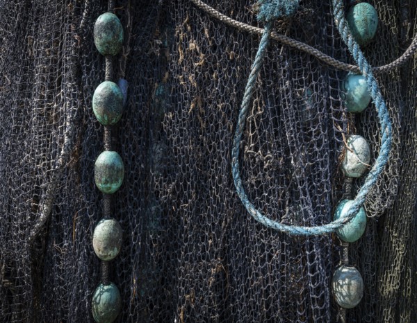Detailed close-up of a fishing net with ropes and blue-green floats, harbour, Ringkøbing, Ringkøbing Fjord, Denmark