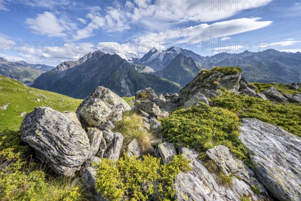 View from the Cabane du Louvie of the glaciated mountain peaks of the Grand Combine, Valais Alps, Val de Bagnes, Valais, Switzerland