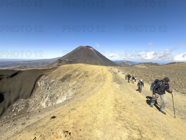 On the hiking trail of the Tongariro Alpine Crossing in Tongariro National Park with a view of the volcano Mount Ngauruhoe, North Island, New Zealand, Oceania