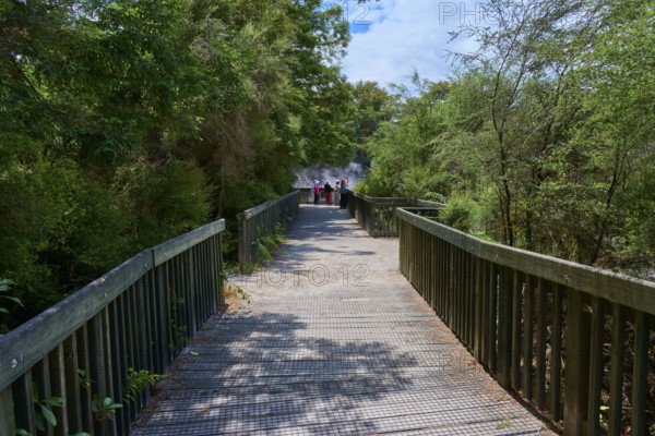 A wooden walkway leads through a green forest, several people are visible in the distance, Wai-O-Tapu Thermal Wonderland, Rotorua, North Island, New Zealand
