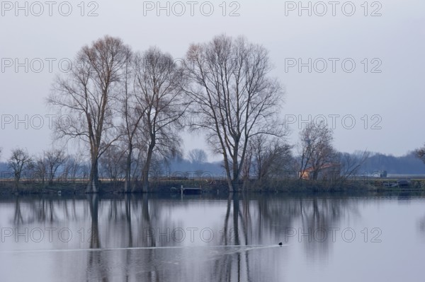 Evening mood at Moosinninger Weiher, quarry pond, fishing pond for carp, reflection of the trees on the shore, smooth calm water, Moosinning in Erdinger moss, Erding, Upper Bavaria, Bavaria, Germany