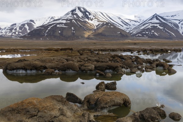 Permafrost, ice below the surface, Aventdalen, Longyearbyen, Spitsbergen, Svalbard