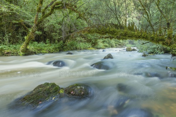 A river flows through a lively forest with smooth rocks that are partially submerged in the water. The sunlight filters through the trees and creates a peaceful atmosphere in the natural surroundings. Jura, France