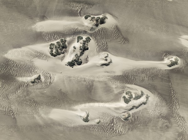 Small sand heaps form around the sparse vegetation in the Namib Desert. Aerial view. Drone shot. Skeleton Coast National Park, Namibia