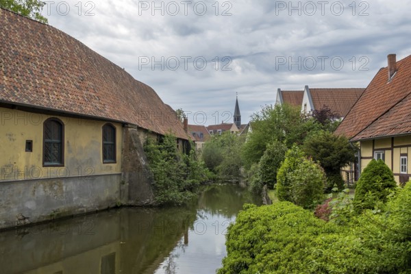Steinfurter Aa, part of the castle moat at Burgsteinfurt Castle, also known as Steinfurt Castle, Münsterland, North Rhine-Westphalia, Germany