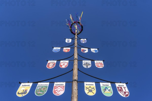 Guild tree, guild tree, guild sign, coat of arms of the various trades, in the Hochsauerlandkreis, Niedersorpe, district of Schmallenberg, North Rhine-Westphalia, Germany