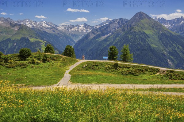 Hiking trail on the Penken with a view of the Stilluptal, Mayrhofen, Zillertal, Zillertal Alps, Tyrol, Austria