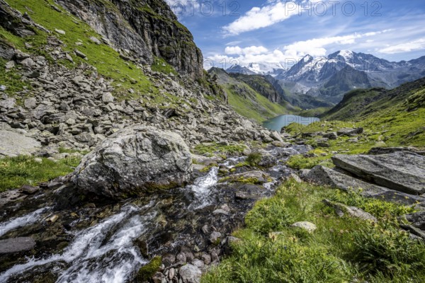 Mountain stream in picturesque mountain landscape, view of mountain lake Lac du Louvie and glaciated mountain peaks of the Grand Combine, Valais Alps, Val de Bagnes, Valais, Switzerland