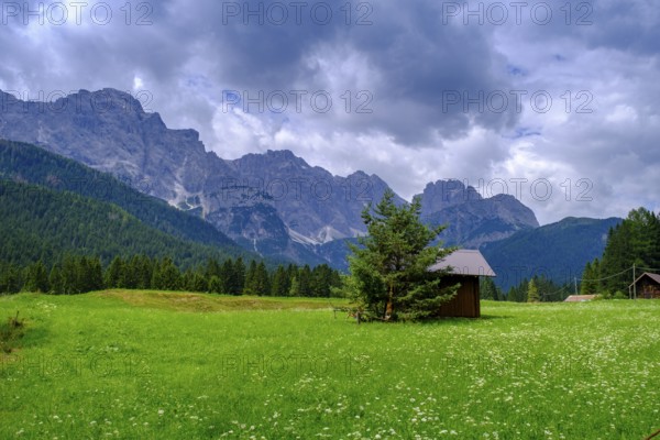 Sesto Dolomites, near Bagni di Valgrande, Dolomites, Trentino, Italy