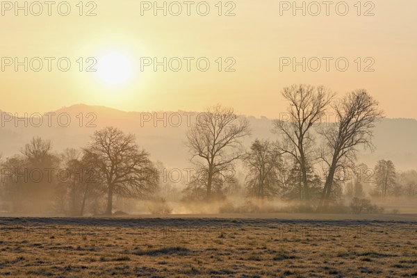 Meadows and trees in the early morning mist in the light of the rising sun, Reusstal, Aristau, Freiamt, Canton Aargau, Switzerland