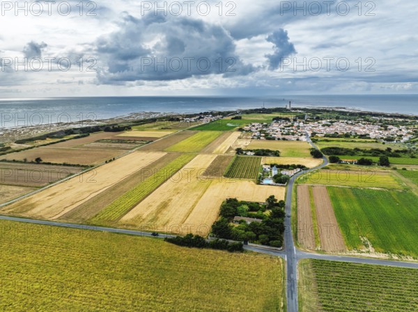 Fields and Grape plantations from a drone, Saint-Clement-des-Baleines, Atlantic, France