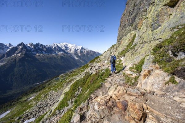 Mountaineer on hiking trail, mountain panorama with glaciated mountain peaks, Aiguille du Midi and Mont Blanc, Aiguille de Mesure and Aiguille de Chamois, hike to Aiguillette des Posettes, Chamonix, Haute-Savoie, France
