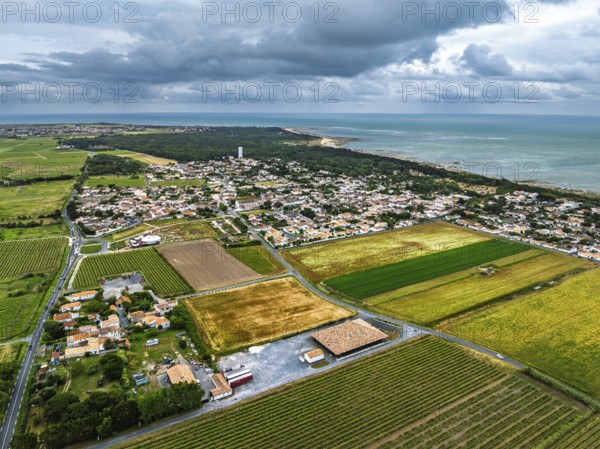Fields and Grape plantations from a drone, Saint-Clement-des-Baleines, Atlantic, France