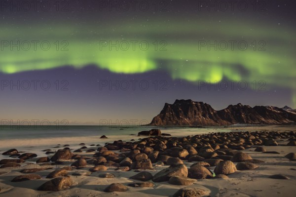 Aurora borealis in green colors over mountain range and coastline at night, Lofoten, Norway