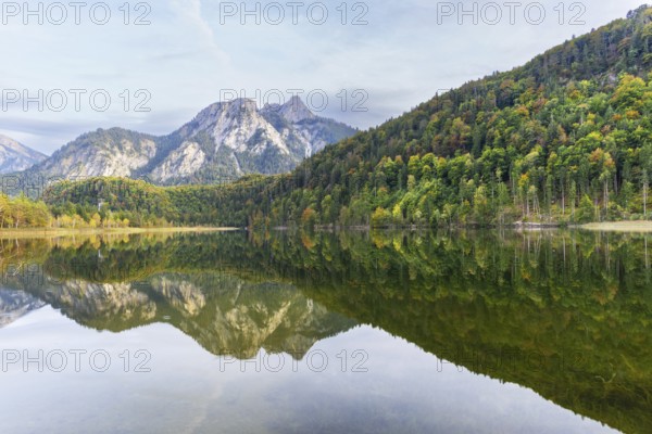 Schwansee, near Hohenschwangau, Romantic Road, behind it the Pilgerschrofen and the Säuling, Ammergau Alps, Ostallgäu, Bavaria, Germany