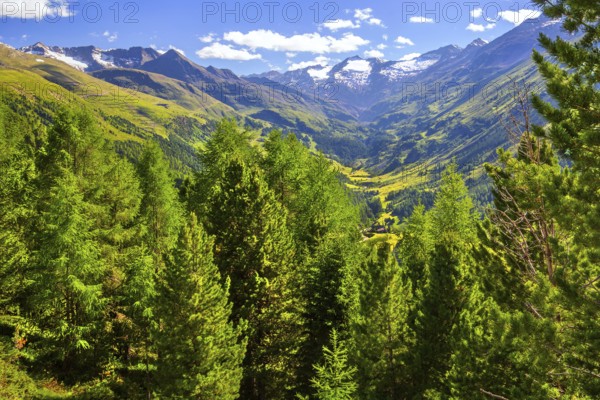 Valley head with the Gurgler Ferner, Hochgurgl, Ötztal, Ötztal Alps, Tyrol, Austria