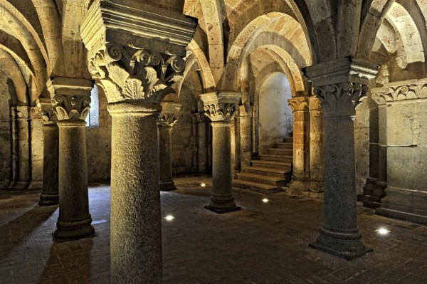 Vaults, columns and capitals in the underground grove of columns, pagan crypt, 10th century, atmospheric lighting, Cathedral of Acquapendente, Basilica of the Holy Sepulchre, Basilica Santo Sepolcro, Basilica minor, Aquapendente, Province of Viterbo, Lazio, Italy