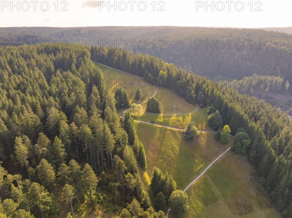 Far-reaching views over wooded areas with gentle valleys and clear paths, Retro Freizeitpark Poppeltal giant slide, Enzklösterle, Black Forest, Germany
