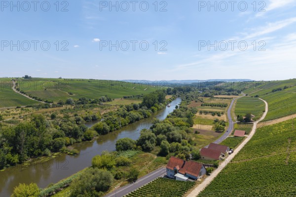 A river flowing through a landscape flanked by vineyards and a road, near Volkach, Mainfranken, Mainschleife, Franconia, Lower Franconia, Bavaria, Germany