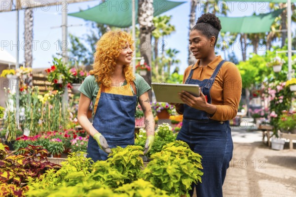 Two female garden center workers are discussing inventory and plant care using a digital tablet in a greenhouse or plant nursery
