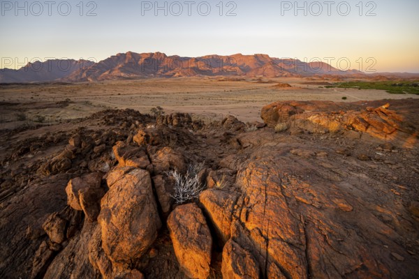 Desert landscape with Brandberg in the morning light, at sunrise, Erongo, Damaraland, Namibia