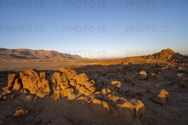 Desert landscape with Brandberg in the morning light, at sunrise, Erongo, Damaraland, Namibia