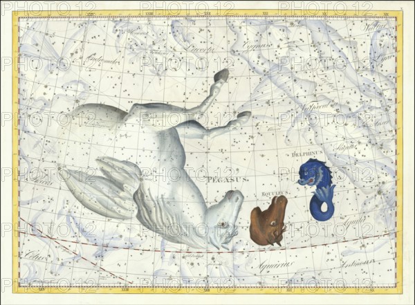 Zodiac sign, constellation, Pegasus, dolphin, star chart, universe, astrology, horoscope, after Johann Elert Bode (19 January 1747 to 23 November 1826), Prussian astronomer