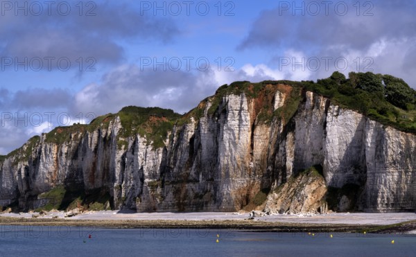 Cliff, cliffs, coastal landscape, rock formation, Yport, chalk cliffs, alabaster coast, La Côte d'Albâtre, Normandy, Seine-Maritime, France