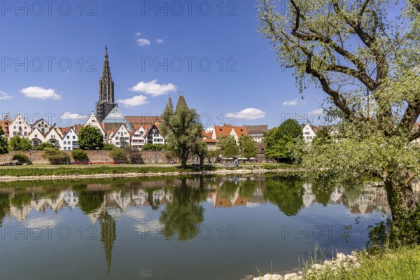 City view of Ulm with the Danube. Ulm Minster, Metzgerturm and old town. Ulm, Baden-Württemberg, Germany