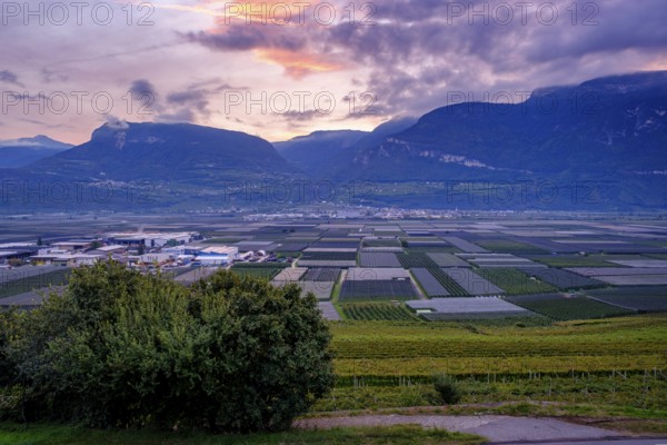 Sunrise over the Adige Valley, near Tramin an der Weinstraße, Unteretsch, South Tyrol, Italy