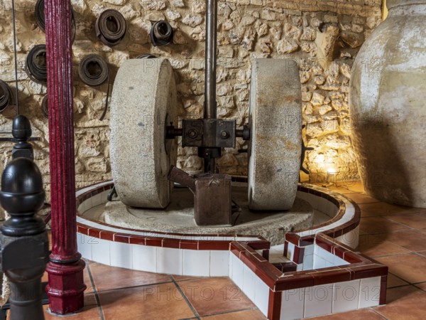Museo del Aceite, olive oil museum and shop, village Cabra, Andalusia, Spain
