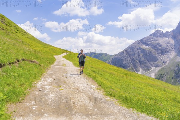 A hiker walks on a path surrounded by green meadows and mountains under a cloudy sky, Alpe di Siusi, Dolomites, South Tyrol, Italy
