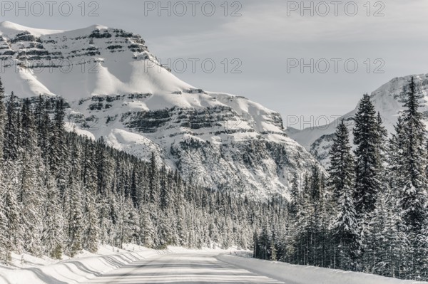 Winter road trip on the Icefields Parkway with lots of snow and ice, Banff National Park, Jasper National Park, Alberta, Canada