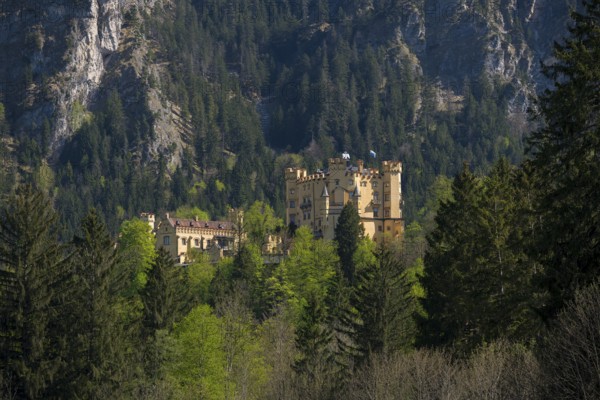 Hohenschwangau Castle is hidden in a dense mountain forest beneath dramatic towering cliffs, Schwangau near Füssen, Ostallgäu district, Swabia, Bavaria, Germany
