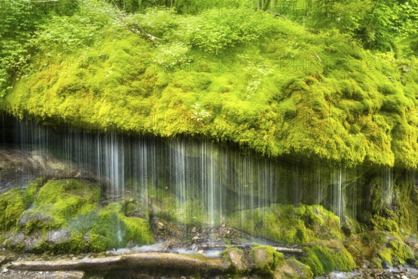 The Dietfurt waterfall, moss and stones, long exposure and ICM (camera moving), Wutach Gorge, Black Forest, Baden-Württemberg, Germany