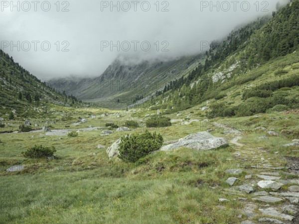 Historic mule track, Windbachtal, Krimmler Tauern, Pinzgau, Salzburg, Austria