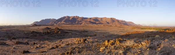 Desert landscape with Brandberg in the morning light, at sunrise, Erongo, Damaraland, Namibia