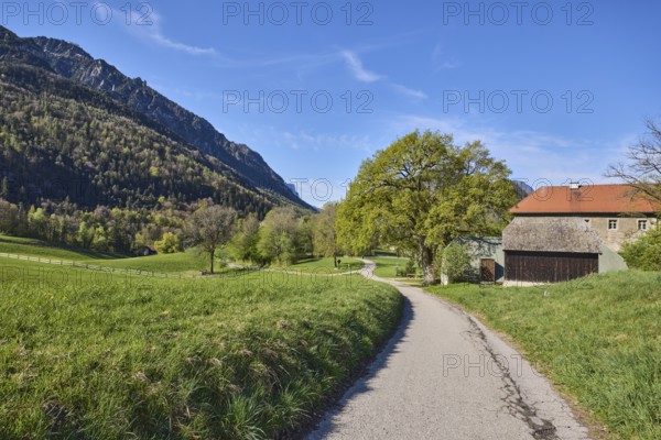 Mountain landscape, landscape photography, narrow road, mountains, forest, meadow, fence, Gruttenstein Castle, blue sky, cirrostratus clouds, Gmainer Straße, Bad Reichenhall, Berchtesgadener Land district, Bavaria, Germany