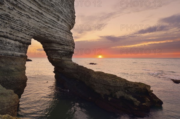 Cliffs with the Porte d'Amont rock gate, Etretat, Alabaster Coast, Seine-Maritime, Normandy, France