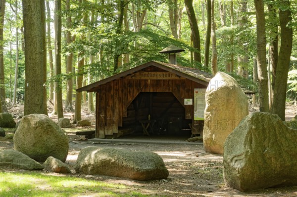 Erratic blocks and hut in the Neuenknick erratic block forest in the Teutoburg Forest. Around 2000 of the ice-age relics have been brought together in a collection. The erratic boulder forest includes a nature discovery trail and is equipped as a leisure and recreation centre. Petershagen, North Rhine-Westphalia. Germany
